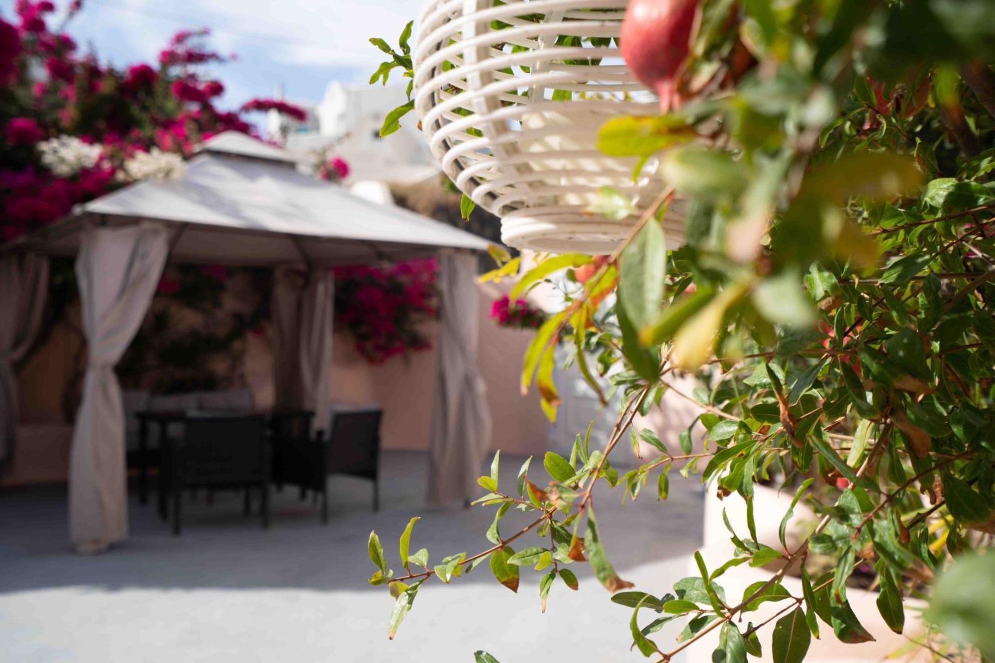 サントリーニ Santorini Oasis- Cave Houseヴィラ エクステリア 写真