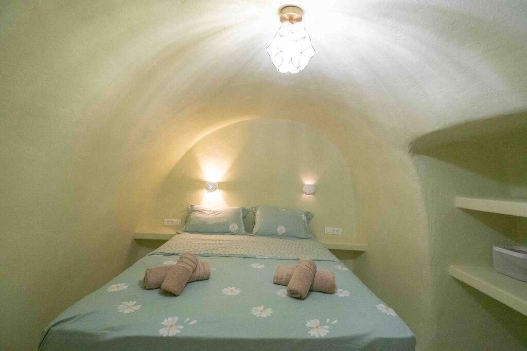 サントリーニ Santorini Oasis- Cave Houseヴィラ エクステリア 写真