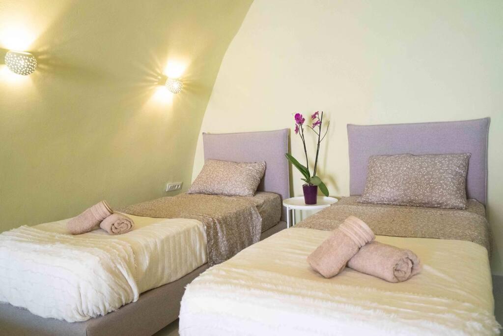 サントリーニ Santorini Oasis- Cave Houseヴィラ エクステリア 写真